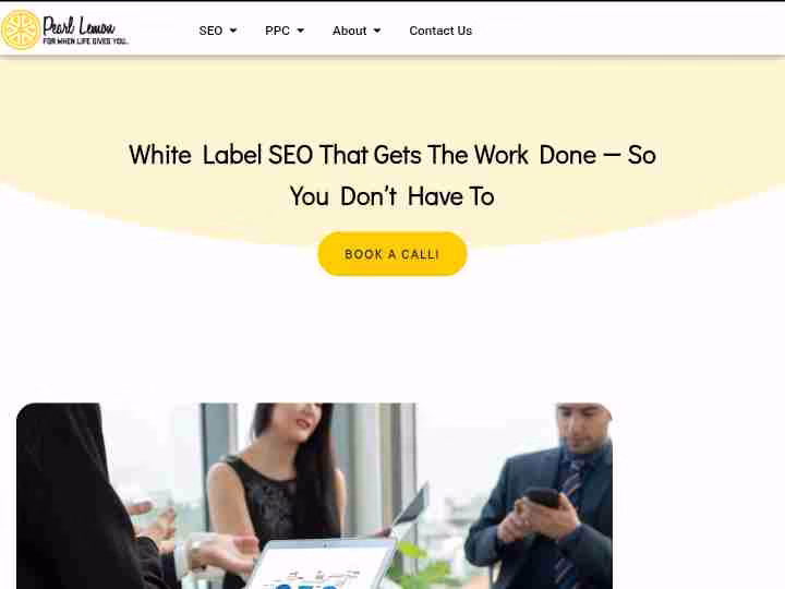 White Label SEO UK: 13 Best White Label SEO Agencies in UK 16 Pearl-Lemon-Group-White-Label-SEO-UK-Dashboard-Screenshot